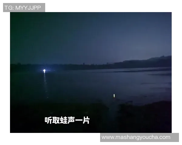 景菡一：在繁华与宁静之间寻找自我与梦想的旅程