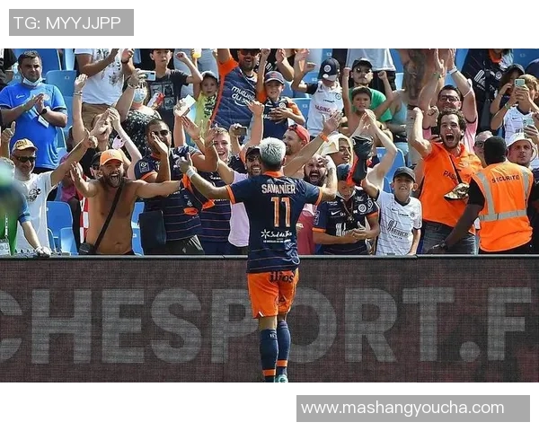 欧赛尔主场迎战洛里昂双方争夺宝贵积分激战即将上演