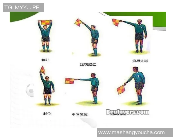 重庆羽毛球队进攻战术解析及其在全国赛事中的表现与影响