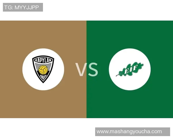 卡亚尼与埃eif的精彩对决揭示了足球战术与团队协作的完美结合